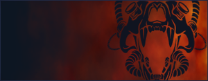 Drongo Master Banner.png