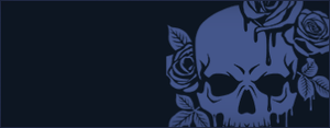 Countess Adept Banner.png